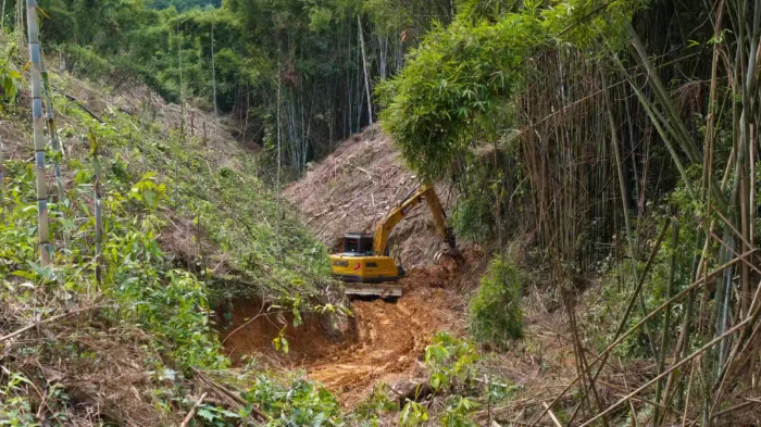 林間“藏龍”，竹?！芭P虎”——徐工林業(yè)挖機(jī)廣西俠客行